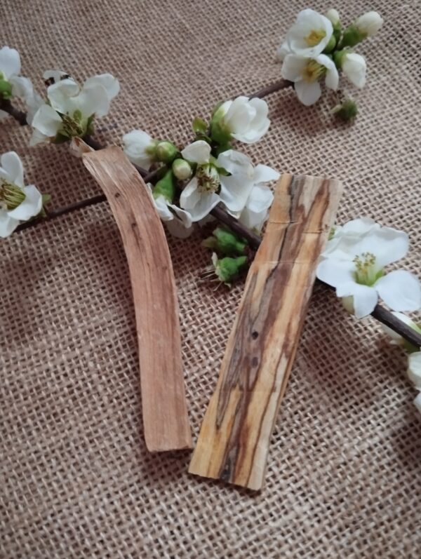 ✨🌿 2 Palo Santo – Madera Sagrada para Armonizar tu Espacio 🌿✨