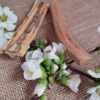 ✨🌿 2 Palo Santo – Madera Sagrada para Armonizar tu Espacio 🌿✨