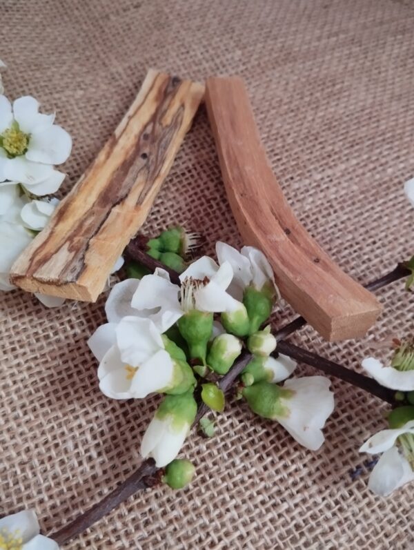 ✨🌿 2 Palo Santo – Madera Sagrada para Armonizar tu Espacio 🌿✨