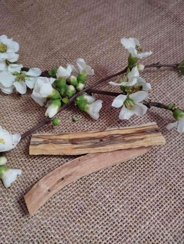 ✨🌿 2 Palo Santo – Madera Sagrada para Armonizar tu Espacio 🌿✨