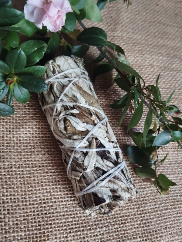 ✨🌿 Atadillo de Salvia y Yerba Santa – Limpieza y Protección Sagrada 🌿✨
