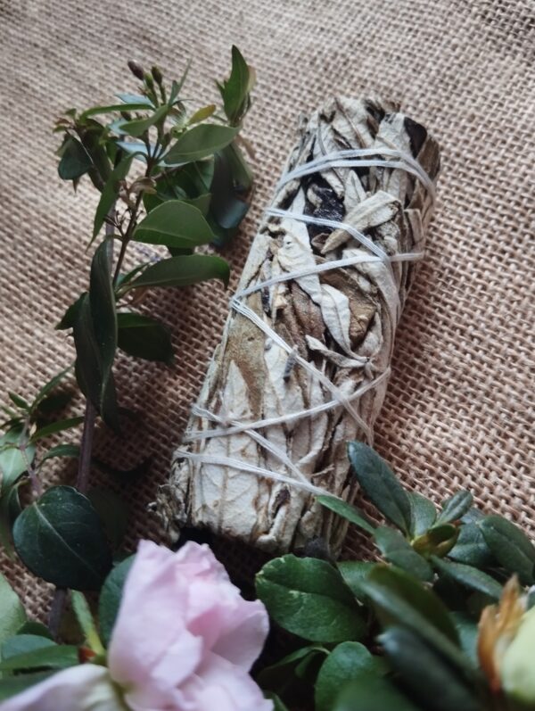 ✨🌿 Atadillo de Salvia y Yerba Santa – Limpieza y Protección Sagrada 🌿✨