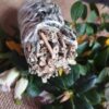✨🌿 Atadillo de Salvia y Lavanda – Limpieza y Armonía 🌿✨