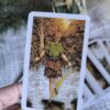 The Wildwood Tarot Pocket – 78 Cartas | Conecta con la Naturaleza Interior