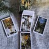 The Wildwood Tarot Pocket – 78 Cartas | Conecta con la Naturaleza Interior