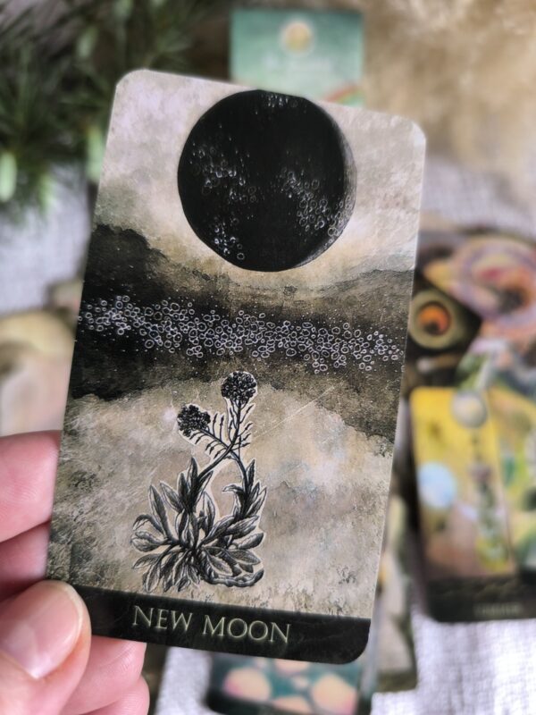 IMG_20251029_161744 Oráculo The Faceted Garden – 50 Cartas de Crecimiento, Naturaleza y Energía Interior