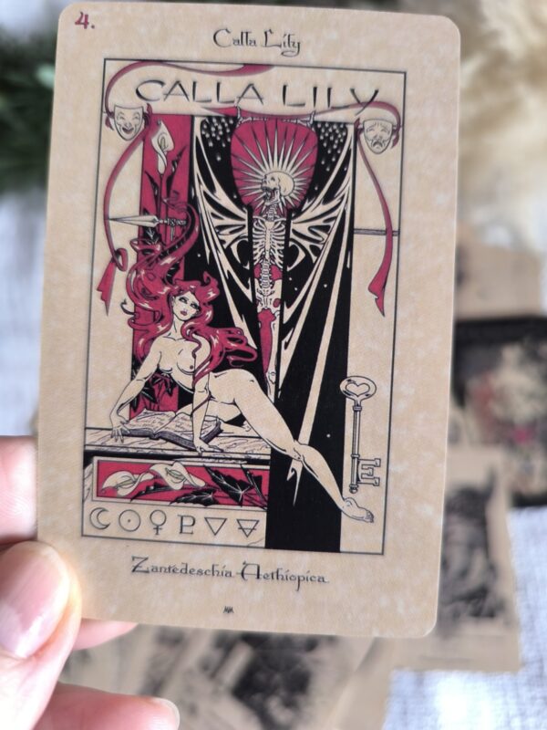 Oráculo The Magickal Botanical – Guía de Sabiduría y Energía de las Plantas